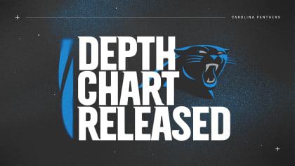 Panthers release initial depth chart: Examining the good and