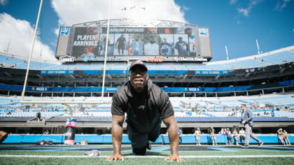 Panthers Home  Carolina Panthers 