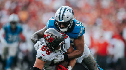 Carolina Panthers linebacker Frankie Luvu (49) looks on during an