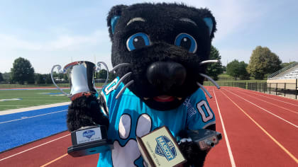 The Carolina Panthers Mascot Is Absolutely Purrfect