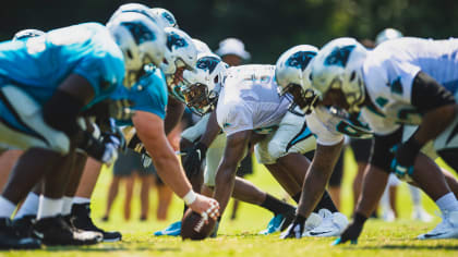 Panthers initial 53-man roster by jersey number for 2019