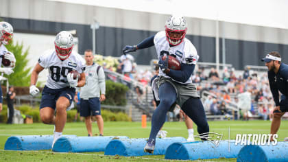 Patriots roster breakdown: Tashawn Bower is one of New England's most  experienced linebackers - Pats Pulpit