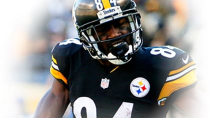 Sammie Coates' development welcome sign for Steelers offense