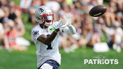 Patriots roster analysis: DeVante Parker offers some serious WR1 upside -  Pats Pulpit