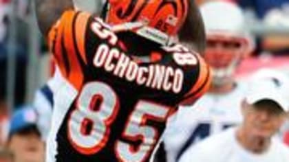 Patriots: Vote of confidence of Ochocinco