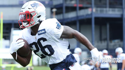 Patriots roster breakdown: Tashawn Bower is one of New England's most  experienced linebackers - Pats Pulpit