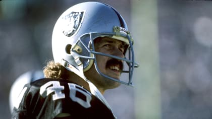 98 1983 Raiders Playoffs Stock Photos, High-Res Pictures, and