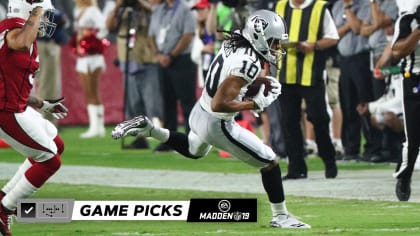 Expert Game Picks: Week 11 at Cardinals