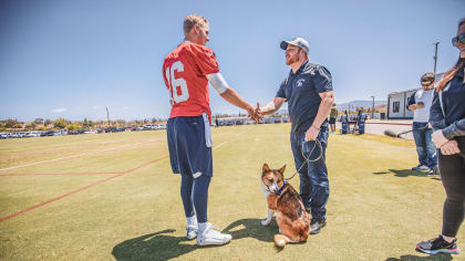 Los Angeles Rams - Happy #InternationalDogDay to Cooper Pupp! Pupp is  training with Shelter to Soldier to become a pawesome service dog for a  deserving veteran! 🐾