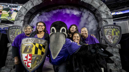 Ravens Mascots  Baltimore Ravens –