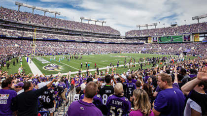 Baltimore Ravens Sell Out Regular Season Tickets In 15 Minutes - CBS  Baltimore