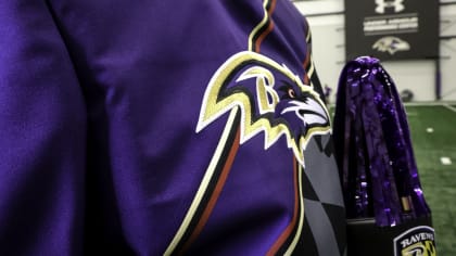 Vote For New Ravens Uniform (For Fun!*)