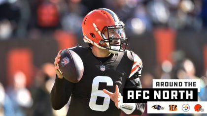 AFC North Roundup: Browns Falter, Ravens Survive