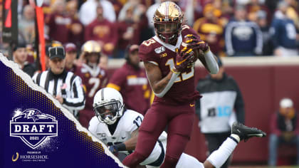 Minnesota WR Rashod Bateman Highlights 