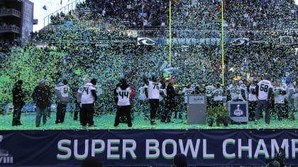 Seattle Seahawks Super Bowl XLVIII CELEBRATION (2014) Poster