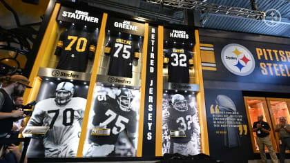 Farrior, Lloyd, Polamalu, Wagner, White named to Pittsburgh