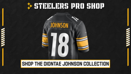 DEC 11th, 2022: Diontae Johnson #18 during the Steelers vs Ravens