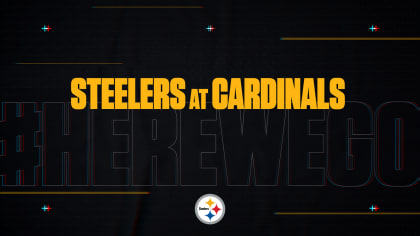 HereWeGo: Steelers-Raiders Week 14