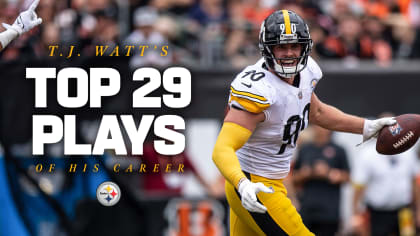Here are the new additions to watch for on the Pittsburgh Steelers this  season