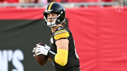 Steelers news: Rashard Mendenhall calls out Big Ben, Brian Flores