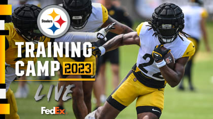 Steelers' 2023 training camp positional breakdown: Defense