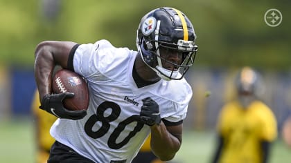 Pittsburgh Steelers safety Donald Washington (9) during NFL football rookie  minicamp, Saturday, May 7, 2016 in Pittsburgh. (AP Photo/Keith Srakocic  Stock Photo - Alamy