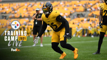 Watch Steelers practice on August 3rd