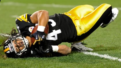 Pittsburgh Steelers safety Troy Polamalu talks with head coach