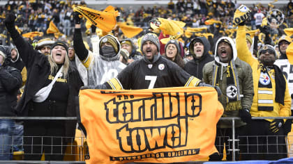 Steelers Nation Fans Free Trivia Challenge::Appstore for