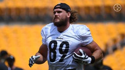 Pittsburgh Steelers tight end Vance McDonald (89) hauls in a pass from  quarterback Ben Roethlisberger for a touchdown during the second half of an  NFL football game against the Carolina Panthers i …