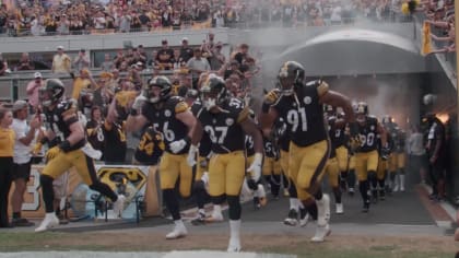 Pittsburgh Steelers NFL Ring of Honor: Woodson, Lambert, Ham & Greene