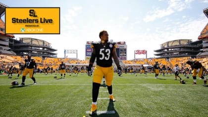 Steelers Status Report Archive | Pittsburgh Steelers 