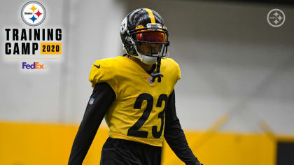 Steelers Virtual Camp Press Conference (Aug. 28): Mike Hilton, Stefen  Wisniewski 