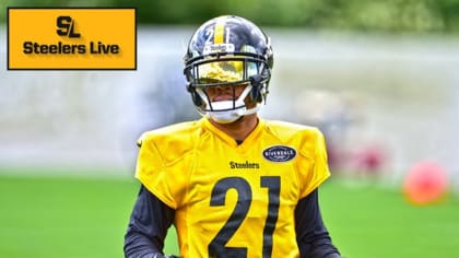 Steelers Live Practice Report: Browns Week - Day 1