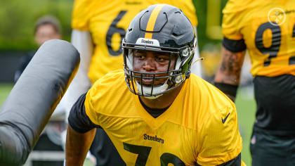 DL Tyson Alualu aiming for new Steelers deal