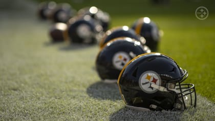 712 Steelers Images, Stock Photos & Vectors