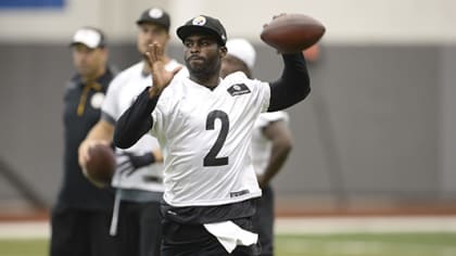 Confident Vick prepared to fill in for Roethlisberger