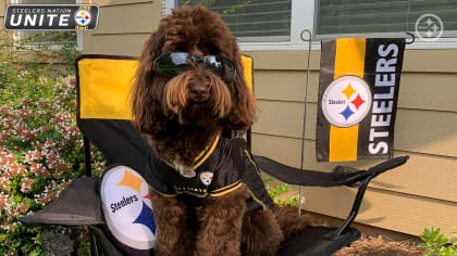 Making your Friday better one dog at - Pittsburgh Steelers