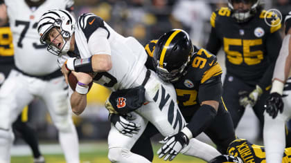 PHOTOS: Karl's top pics - Steelers at Bengals