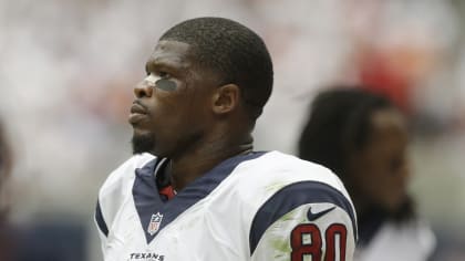 Houston Texans wide receiver Andre Johnson wears Play 60