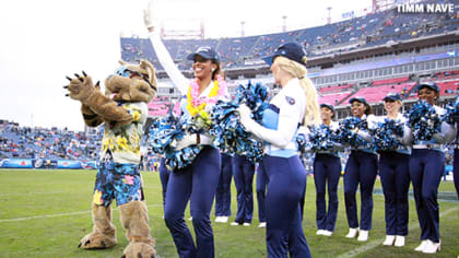 Meet the 2015 Tennessee Titans Cheerleaders