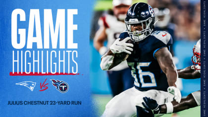 Tennessee Titans running back Julius Chestnut (36) celebrates with  teamamtes after running the ball for a touchdown in the second half of a  preseason NFL football game against the Minnesota Vikings, Saturday