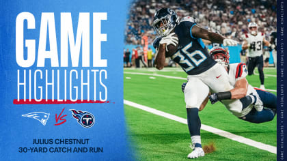 Tennessee Titans running back Julius Chestnut (36) celebrates with  teamamtes after running the ball for a touchdown in the second half of a  preseason NFL football game against the Minnesota Vikings, Saturday