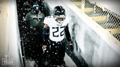 TN Top 10: Titans vs. Ravens Photography