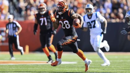 Bengals place Samaje Perine, Jackson Carman on Reserve/COVID-19 list