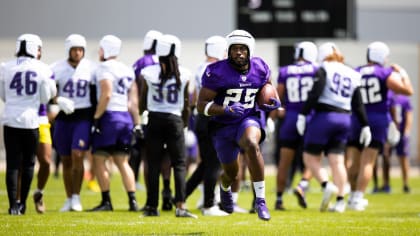 Vikings tweak helmet color to better match jerseys - Daily Norseman