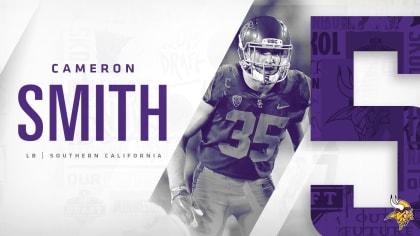 2019 Minnesota Vikings Draft Picks