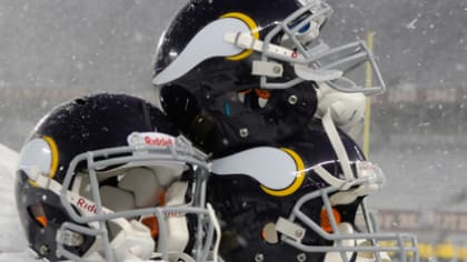 Top 5 Vikings Snow Games