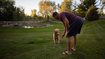 D.J. Wonnum's Dog Simba on Purple Pups