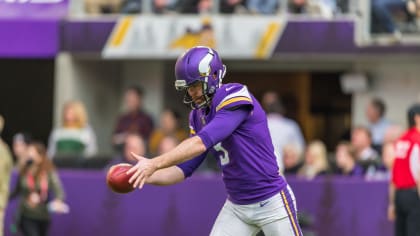 Vikings' roster comes into focus with addition of punter Jordan